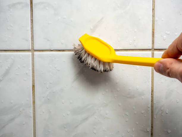 Best Black Mold Removal  in Wardsville, MO